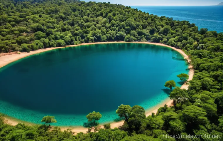 말라위의 국경 분쟁 - An aerial, semi-abstract view of a vibrant African landscape, specifically focusing on the region ar... 말라위의 국경 분쟁 - An aerial, semi-abstract view of a vibrant African landscape, specifically focusing on the region ar...